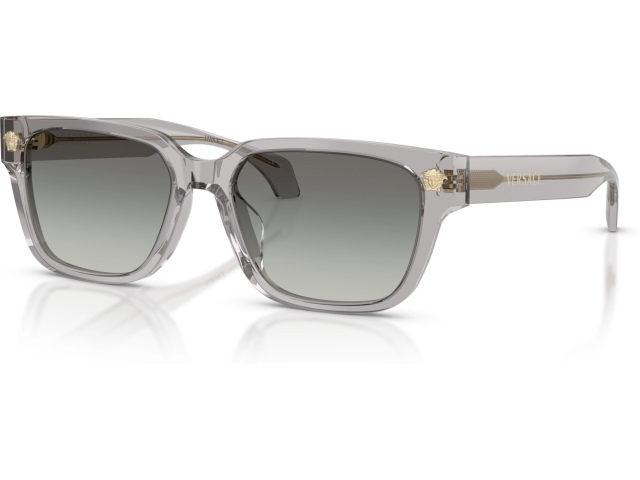 Versace VE4513D 593/11 Grey