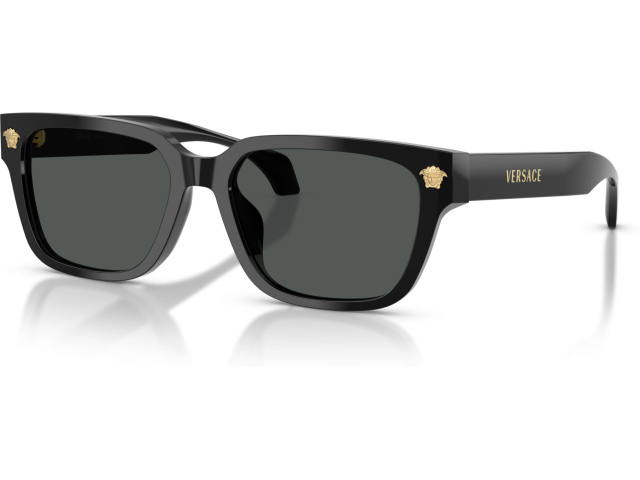 Versace VE4513D GB1/87 Black
