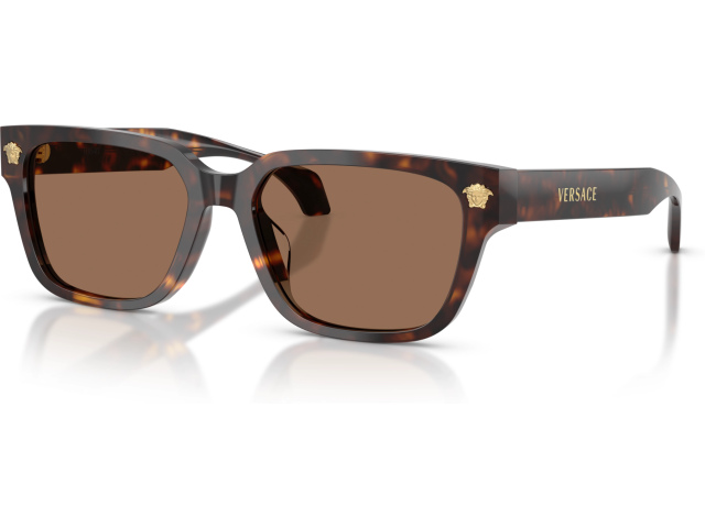 Versace VE4513D 108/73 Tortoise