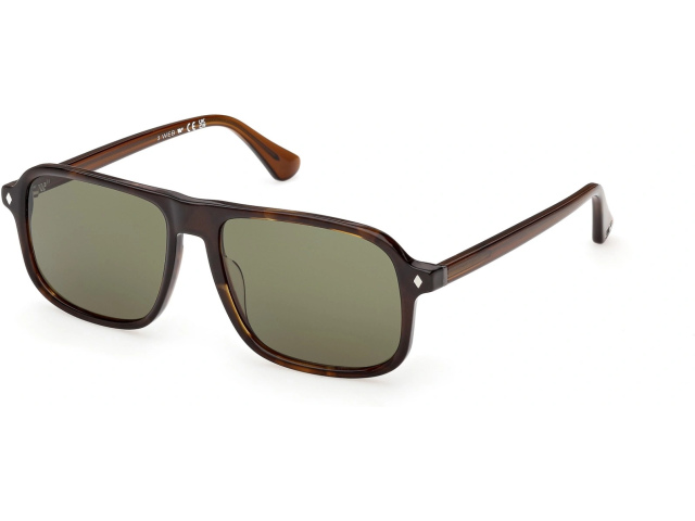 Web Eyewear WE 0396 56N 56