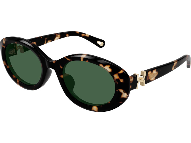 Chloe CH0323SK-002 54 ���� ��������������
