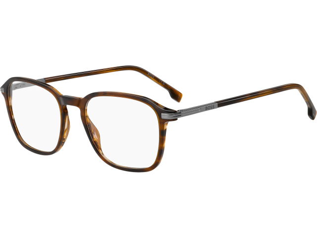 HUGO BOSS 2010 EX4 Brown Horn