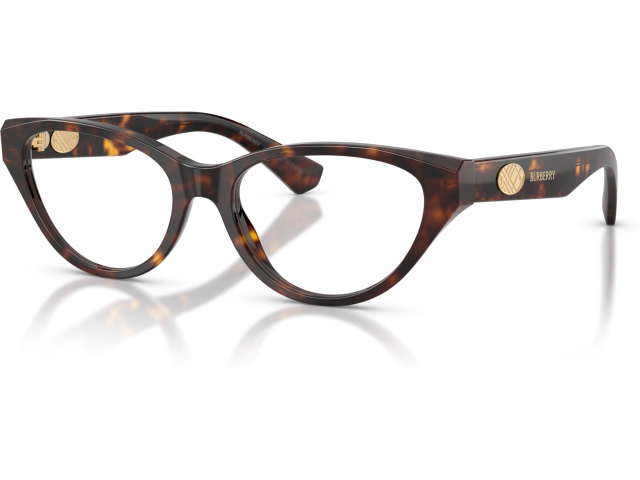 Burberry BE2467 3002 Brown