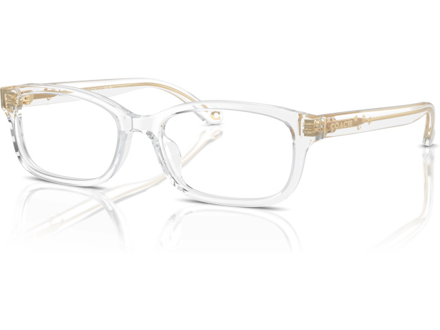 Coach HC6233U 5111 Transparent