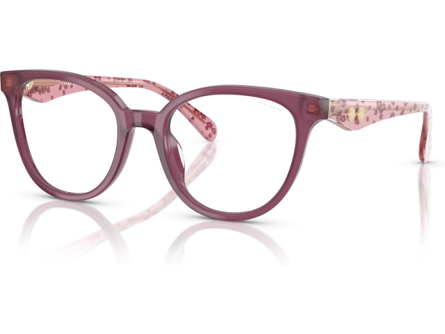 Coach HC6259U 5954SB Violet