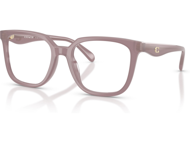 Coach HC6271U 5495 Brown