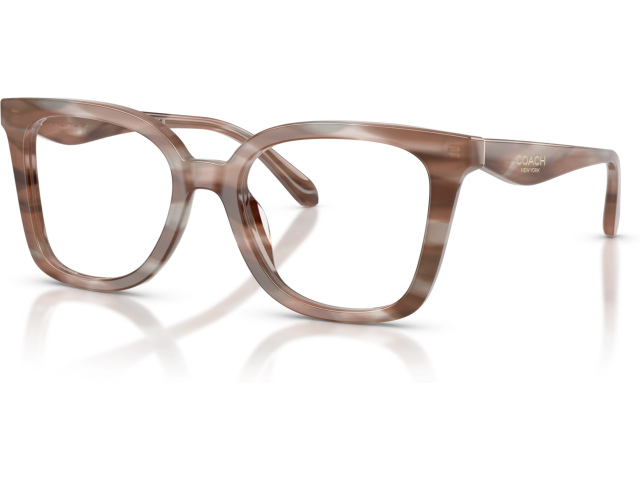 Coach HC6274U 5901 Brown