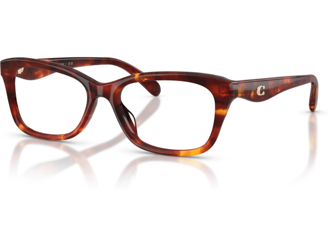 Coach HC6285U 5938 Tortoise