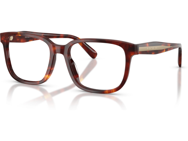 Coach HC6291U 5938 Tortoise