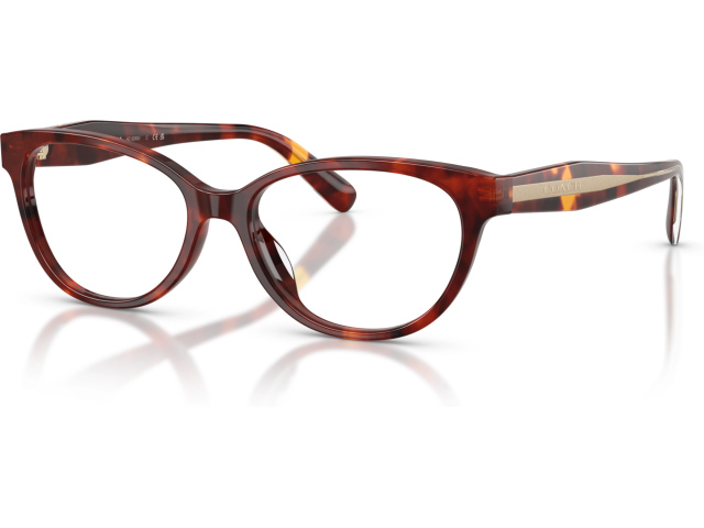 Coach HC6293U 5938 Tortoise