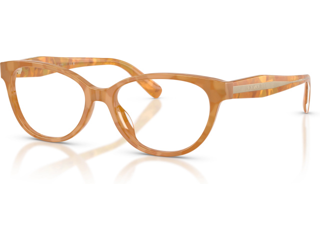 Coach HC6293U 5939 Tortoise