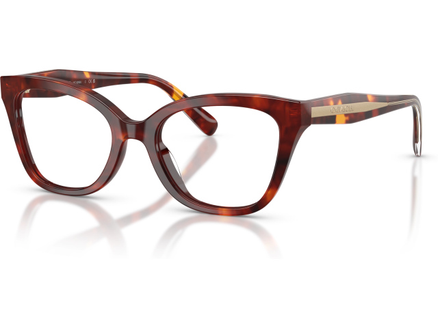 Coach HC6290U 5938 Tortoise