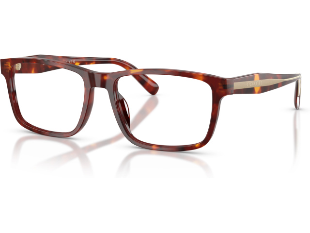 Coach HC6292U 5938 Tortoise