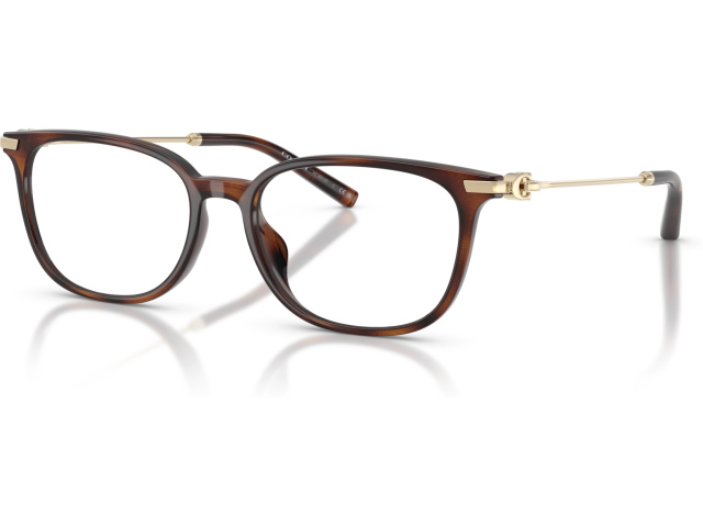 Coach HC6312D 5120 Tortoise