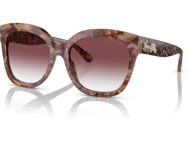 Coach L1083 HC8264 57398H Tortoise
