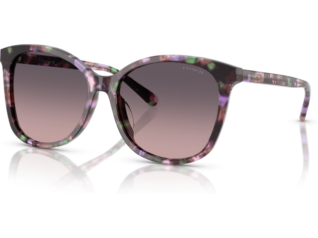 Coach L1101 HC8271U 584346 Violet