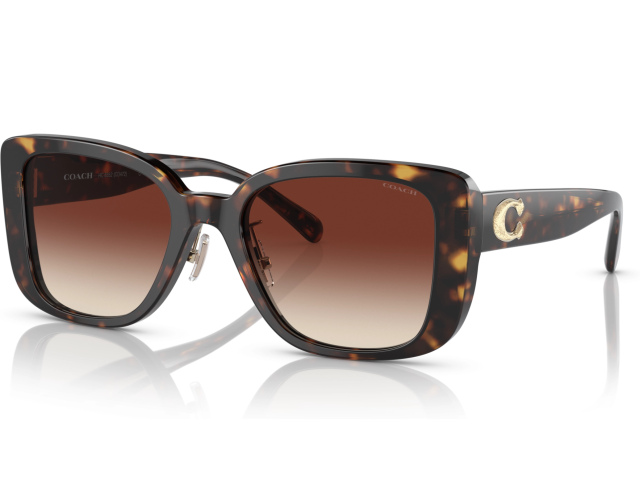 Coach CD472 HC8352 512013 Tortoise