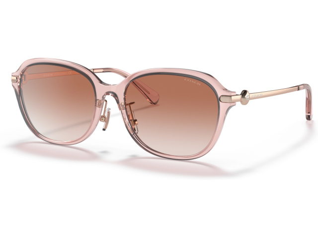 Coach C6199 HC8332D 566613 Pink