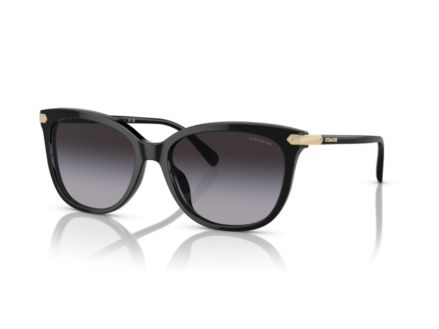 Coach CL926 HC8378U 50028G Black