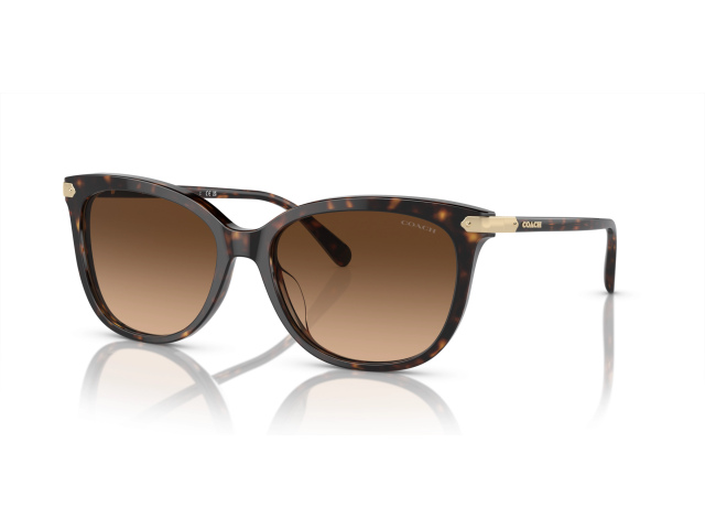 Coach CL926 HC8378U 512074 Tortoise