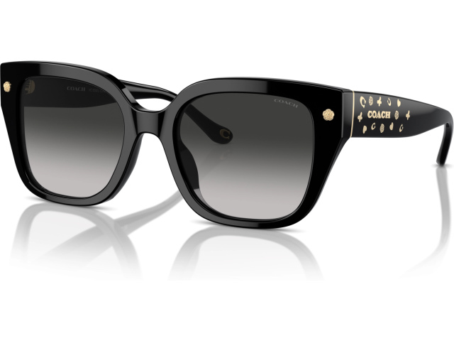 Coach CR611 HC8392U 50023C Black