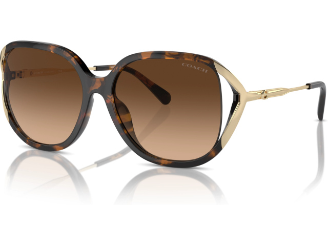 Coach CR620 HC8396U 512074 Tortoise