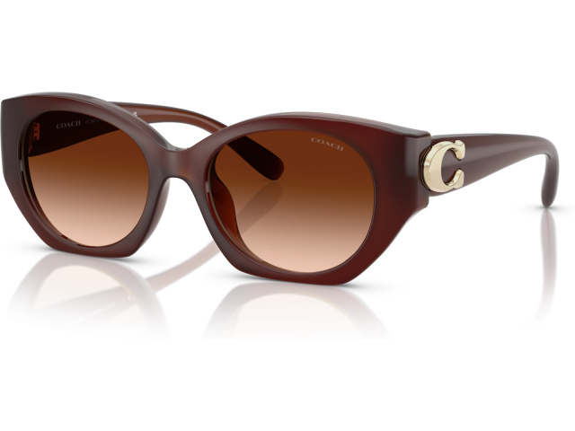 Coach CW194 HC8407U 584174 Brown