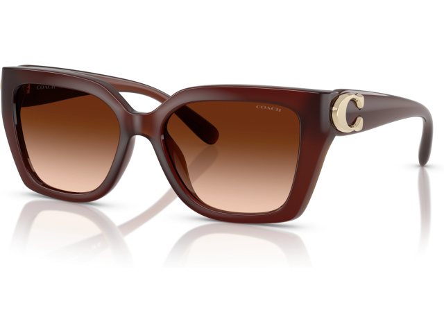 Coach CW195 HC8408U 584174 Brown