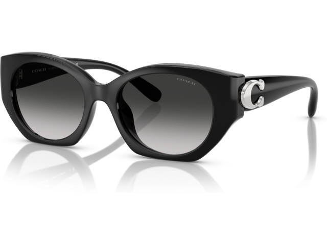 Coach CW194 HC8407U 50023C Black