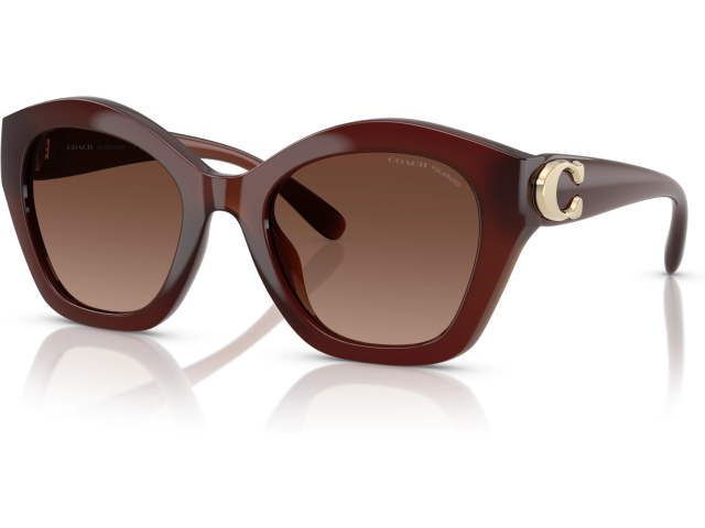 Coach CAD31 HC8421U 5841T5 Brown