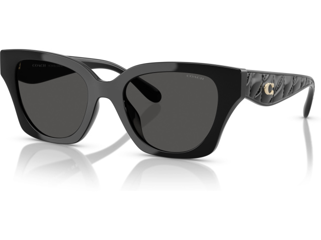 Coach CAD18 HC8418U 500287 Black