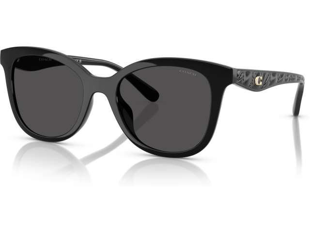 Coach CAD25 HC8419U 500287 Black