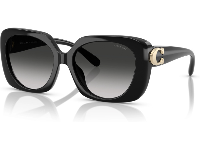 Coach CAD33 HC8422U 50023C Black
