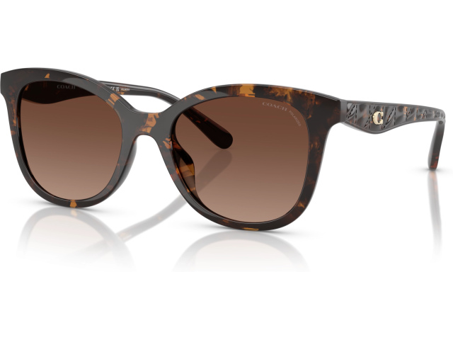 Coach CAD25 HC8419U 5120T5 Tortoise