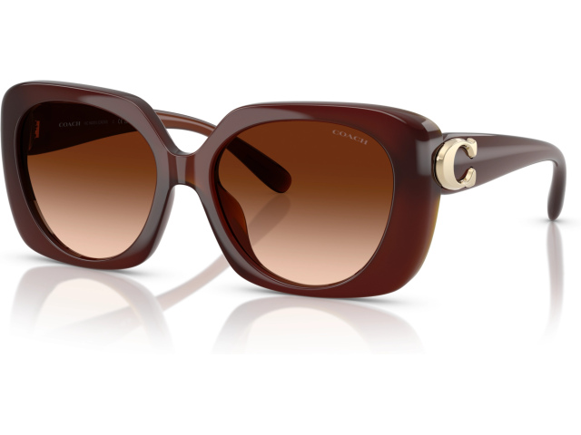 Coach CAD33 HC8422U 584174 Brown