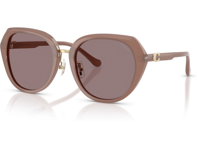 Coach CBY93 HC8436 54957N Brown