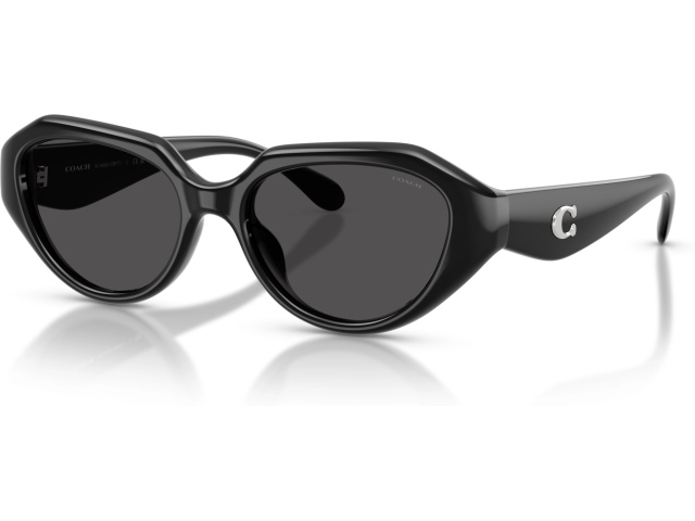 Coach CBY77 HC8433U 500287 Black