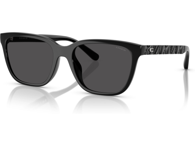 Coach CAE86 HC8429D 500287 Black