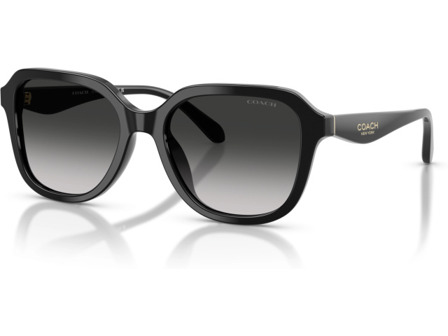 Coach CBY87 HC8437U 50023C Black