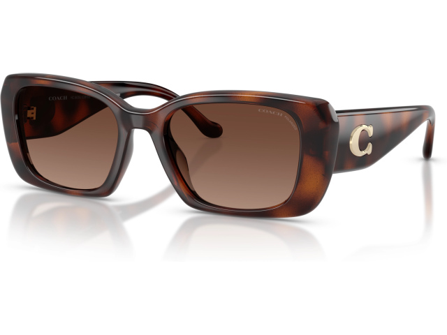 Coach CBY82 HC8435U 5120T5 Tortoise