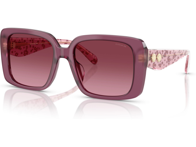 Coach CAD54 HC8424U 59548H Violet