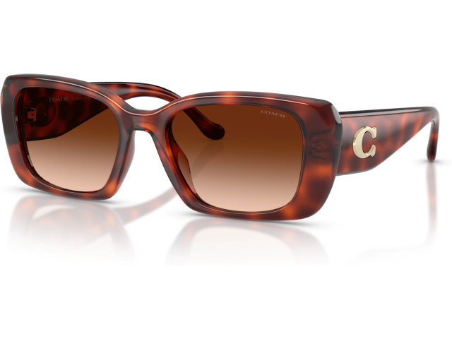 Coach CBY82 HC8435U 577474 Tortoise