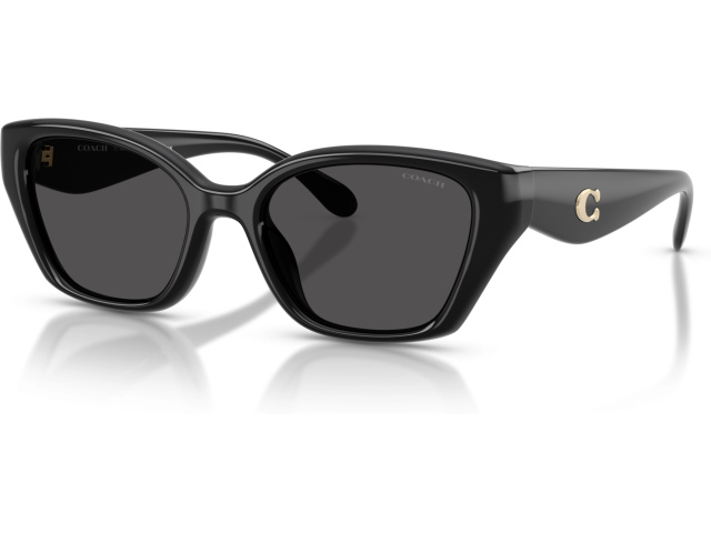 Coach CBY91 HC8434U 500287 Black