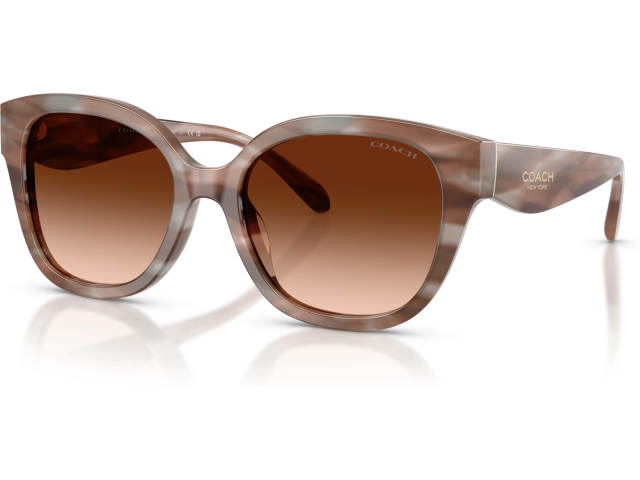 Coach CBY94 HC8438U 590174 Brown