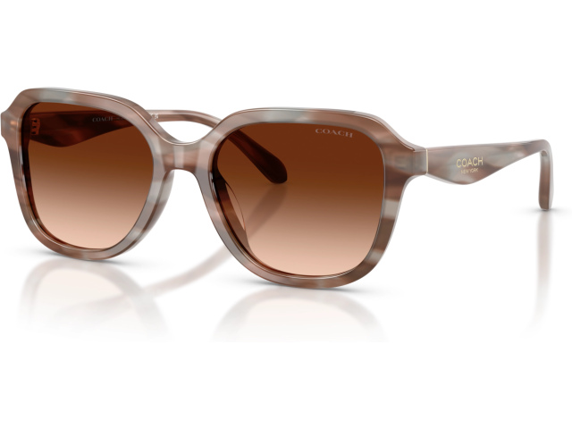 Coach CBY87 HC8437U 590174 Brown