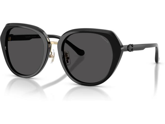 Coach CBY93 HC8436 500287 Black