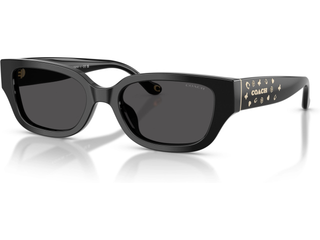Coach CBZ52 HC8439U 500287 Black