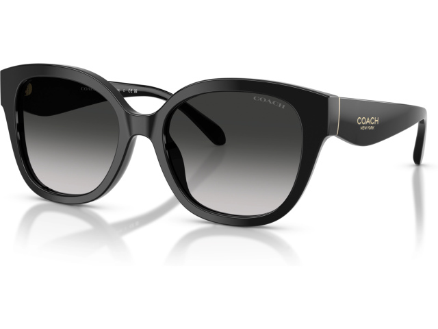 Coach CBY94 HC8438U 500287 Black
