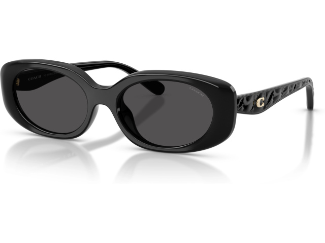 Coach CBY84 HC8443D 500287 Black