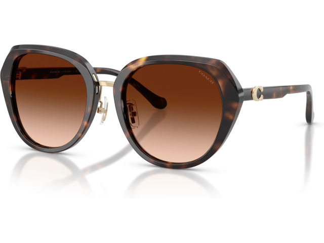 Coach CBY93 HC8436 512074 Tortoise